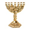 Logo DOM ISRAELA - EFRAIM - KRÓLESTWO PÓŁNOCNE - mesjanscy.pl